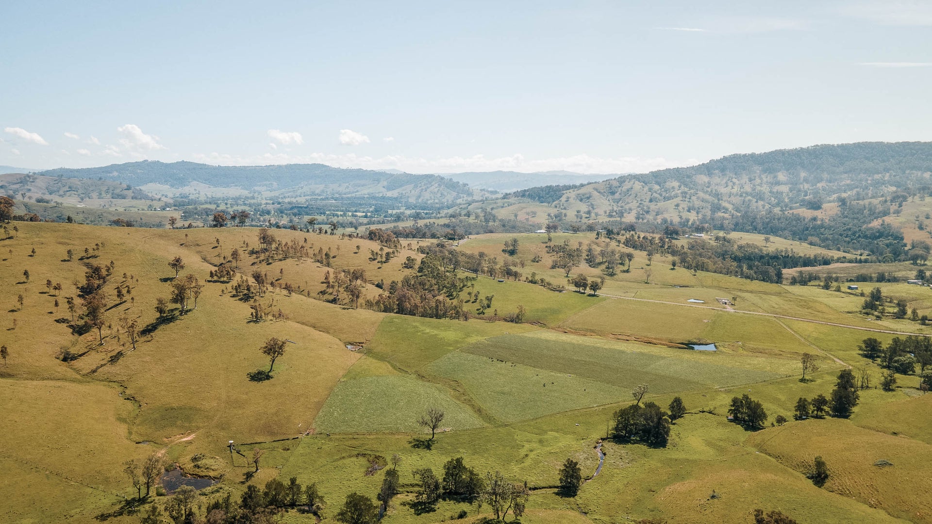 About Springhill Beef Co. | Family-Owned Regenerative Farm in Hunter Valley