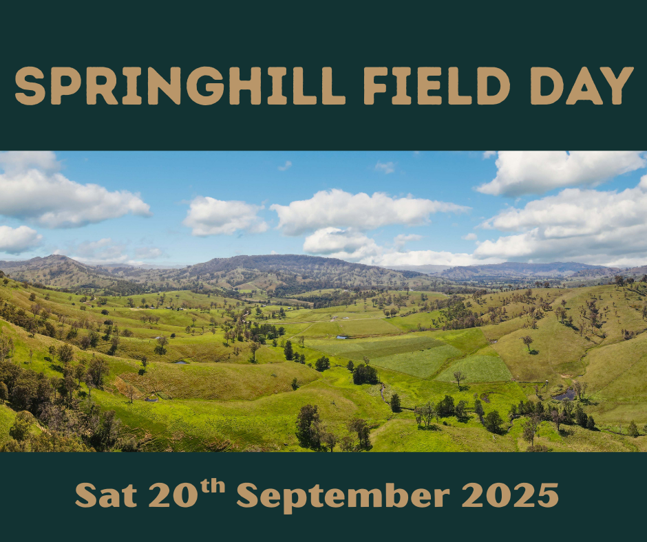 Springhill field day ticket